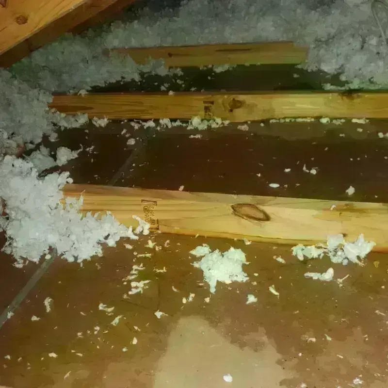 Best Attic Water Damage Service in Chouteau, OK