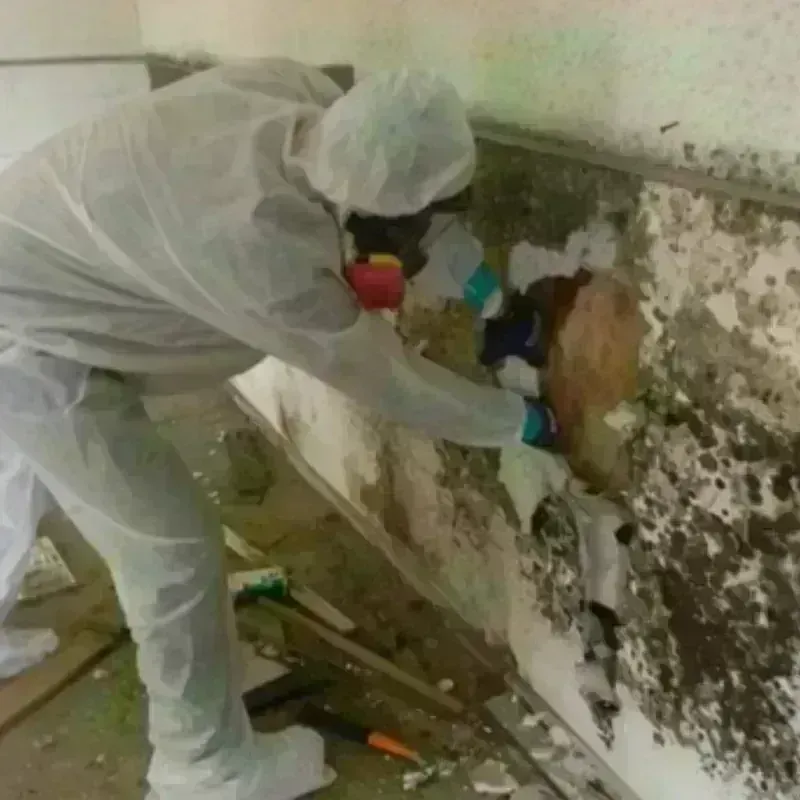 Mold Remediation and Removal in Chouteau, OK